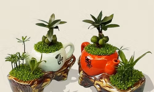 Tiểu cảnh mini biến tấu độc đáo từ tách trà. Nguồn ảnh: Housebeautiful.