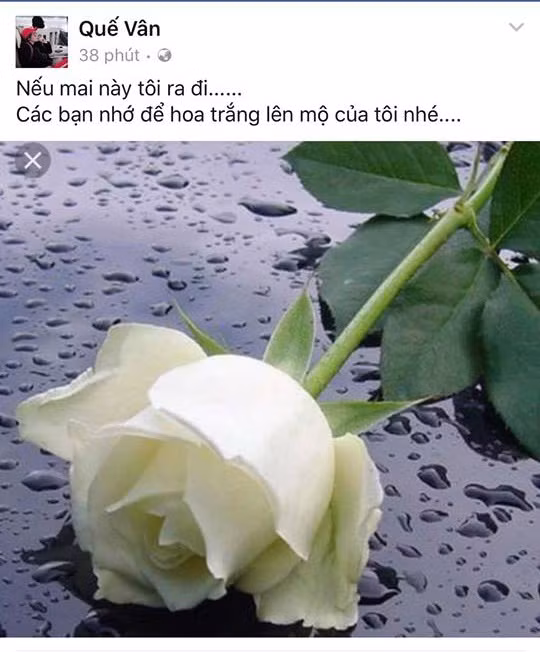Quế Vân chia sẻ status gở mồm.