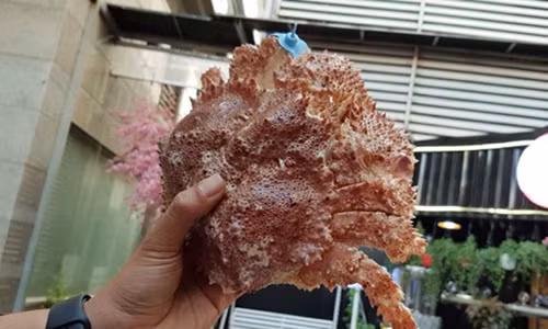 Đây là loại cua nhập khẩu từ Mỹ về Việt Nam theo đường xách tay. Ảnh: FCalisa Foods - tôm hùm AlaskaB.