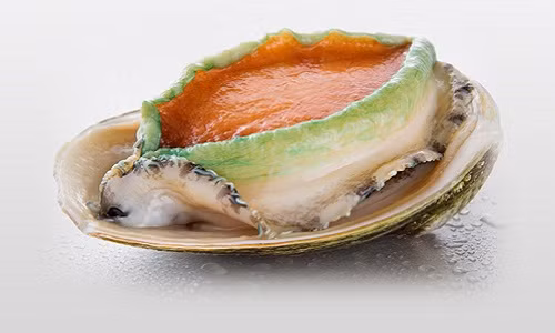 Bào ngư viền xanh Úc được giới nhà giàu Việt săn lùng không chỉ bởi hương vị thơm ngon mà còn giàu chất dinh dưỡng. Ảnh: Seafood Australia.
