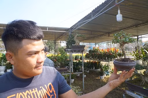 Một thanh niên thích thú với các loại cây bonsai ở hội hoa xuân Quảng Nam năm 2018.