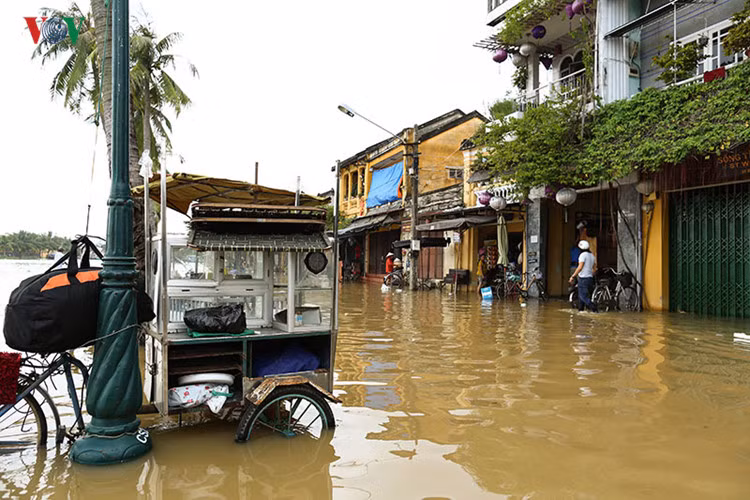 Cả dãy phố đóng cửa chuẩn bị chạy lũ.