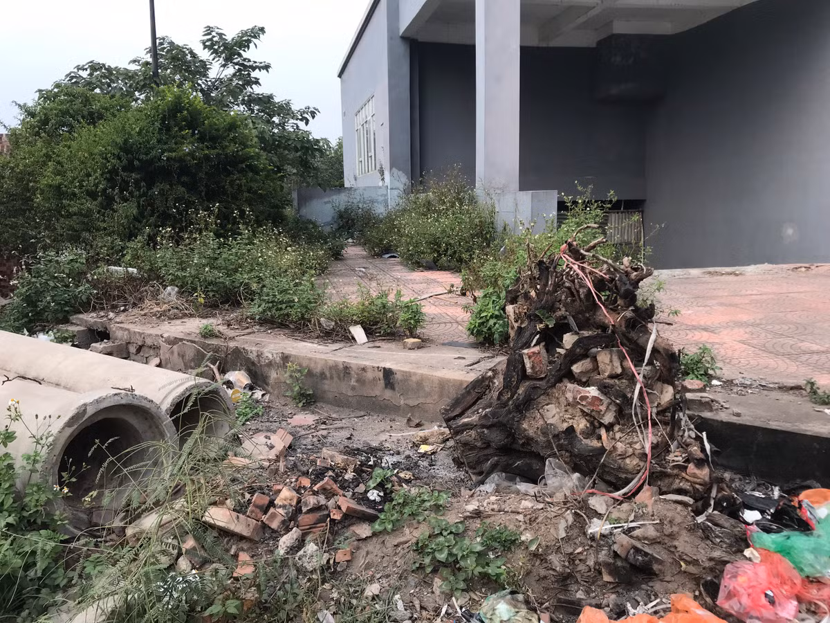 Rác thải bủa vây xung quanh các tòa nhà tái định cư Đền Lừ III.
