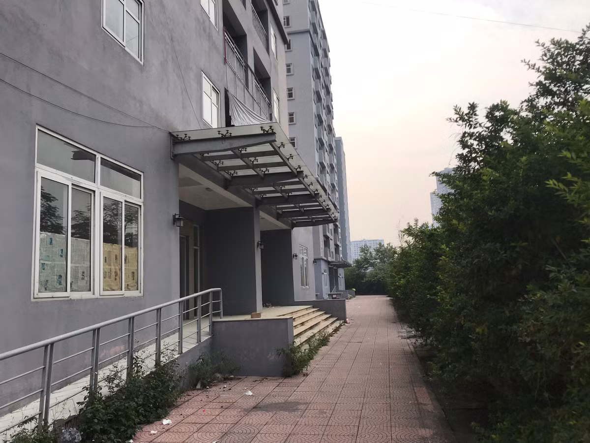Xung quanh các tòa nhà tái định cư cây cối um tùm không được cắt tỉa làm khu vực này càng thêm hoang lạnh.
