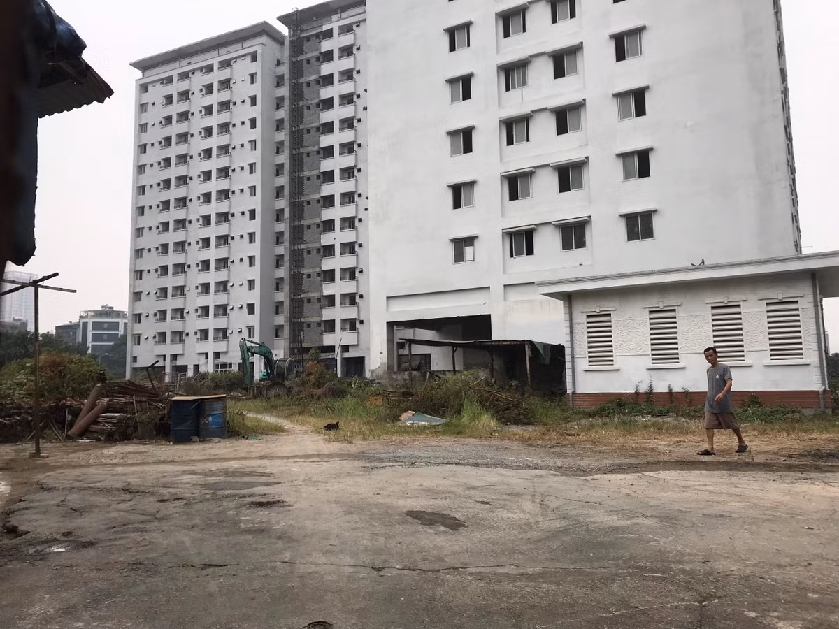 Phía bên trong Khu tái định cư này là cảnh hoang tàn, nhếch nhác, cây cỏ mọc hoang dại.