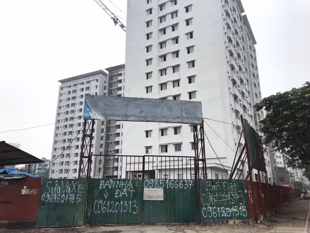 Chủ đầu tư Dự án tái định cư N01 - D17 Duy Tân là UBND quận Cầu Giấy, đại diện của chủ đầu tư dự án là Ban Quản lý dự án quận Cầu Giấy; Đơn vị được giao nhiệm vụ thi công dự án là Công ty CP Xây dựng Số 5 Hà Nội và Tổng công ty Đầu tư và Phát triển hạ tầng Đô thị (UDIC).