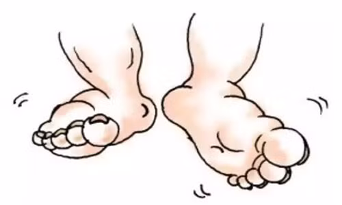 Ăn gì để trị dứt điểm chứng tỳ hư, phù thũng? An gi de tri dut diem chung ty hu, phu thung?