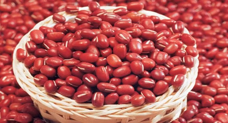 Đậu đỏ: Tác dụng lợi tiểu, tiêu thũng do mắc phải các bệnh tim, thận, gan gây nên. Đậu đỏ còn giúp giải rượu, giải độc, hạ huyết áp, điều chỉnh mỡ máu, đường huyết, đề phòng kết sỏi và có tác dụng làm đẹp da. Ảnh: lhzdsc.