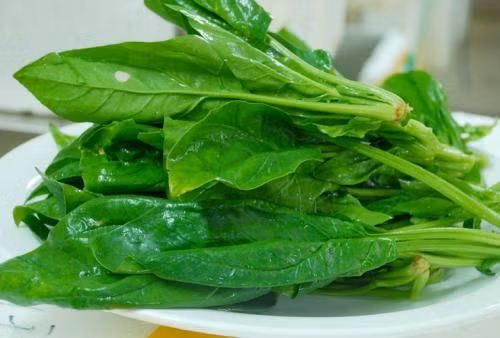 Ăn cải bó xôi: Vị ngọt, tính mát, cải bó xôi nhuận táo, dưỡng gan, tốt cho dạ dày và đường ruột, lợi ngũ tạng, có tác dụng giải độc rượu.