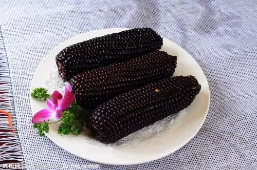 Ngoài ra, ăn ngô đỏ, ngô tím hoặc ngô đen lại có chứa nhiều anthocyanins, một chất có khả năng chống oxy hóa gốc tự do rất mạnh. Tuy nhiên để tận dụng được tối đa công dụng của ngô hầu như chúng ta đều chưa biết cách chế biến đúng. Ảnh: nipic.