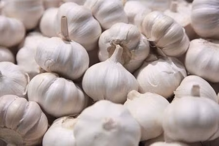 Nghe thì có vẻ trầm trọng nhưng chữa bệnh này lại rất đơn giản và rẻ tiền. Chỉ cần dùng tỏi đập dập, thêm chút dấm ngân tay chân sẽ trị khỏi bệnh. Do tỏi và giấm đều có tác dụng kháng khuẩn, kết hợp lại sẽ có tác dụng trị nấm hiệu quả. Ảnh: vcg.