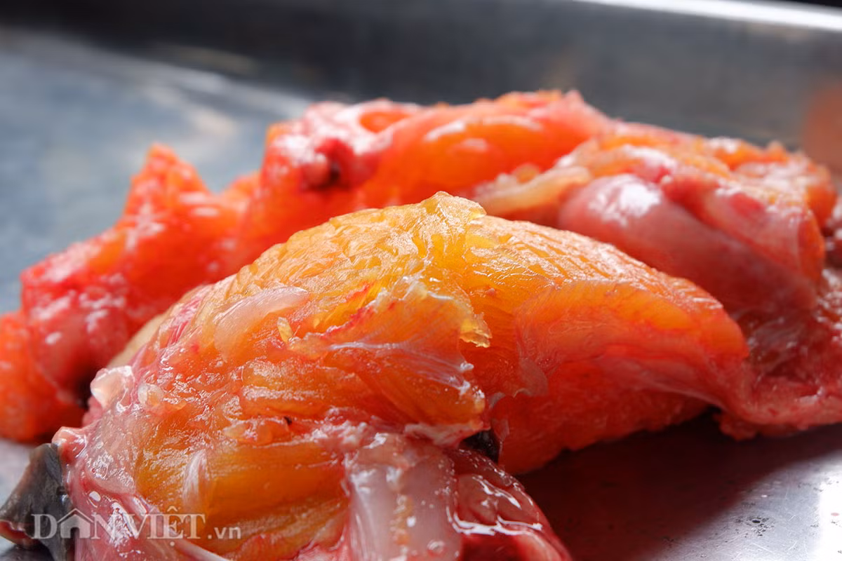 Thịt cá chiên rất đặc biệt, màu vàng, toàn bộ thân mình không có xương dăm. Chỉ có xương sống chạy dài từ đầu đến đuôi cá. Thịt rắn chắc, càng to càng chắc.