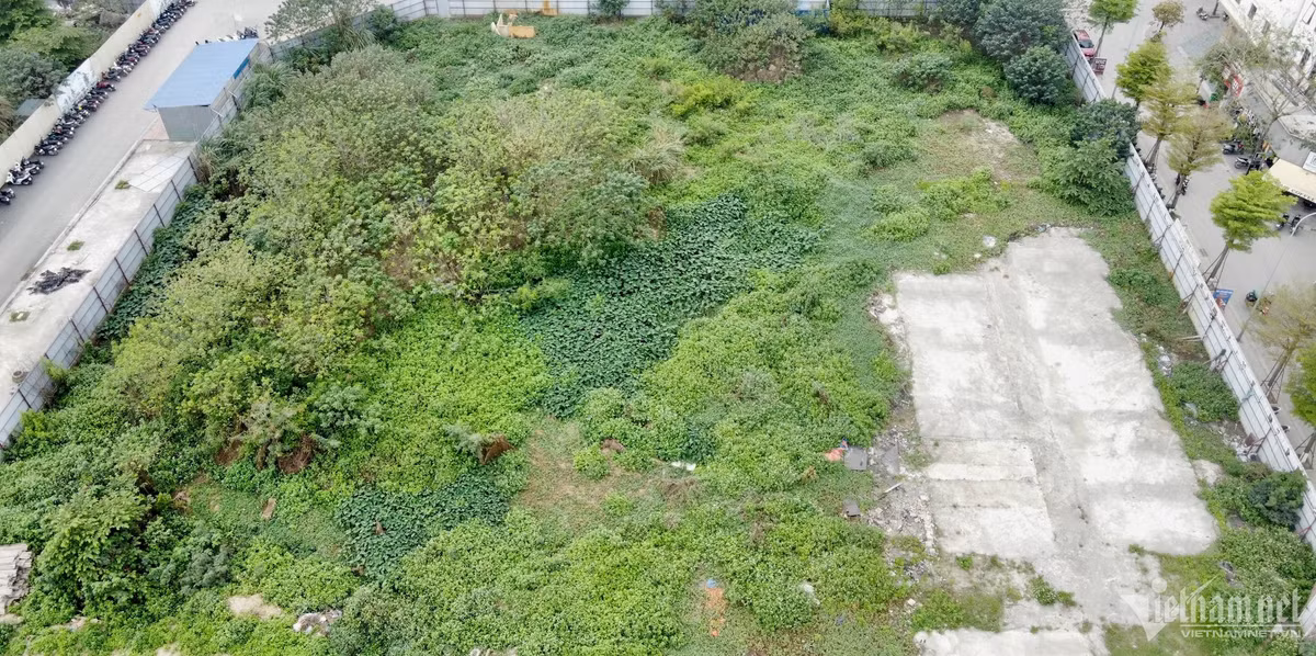 Ha Noi: Du an nha o xa hoi hang nghin m2 dang... ‘nuoi co’-Hinh-8