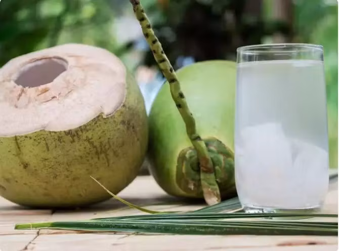 Nước dừa được đánh giá là một loại đồ uống giải khát và bổ sung nước, giúp giảm tình trạng mất nước và táo bón nhẹ. Tuy nhiên, điều cần thiết là phải tìm kiếm hướng dẫn y tế trong trường hợp mất nước nghiêm trọng hoặc táo bón mãn tính do chế độ ăn uống hoặc các vấn đề sức khỏe tiềm ẩn.