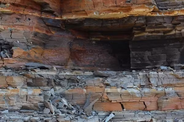 Clarkia Middle Miocene ở Idaho là nơi tồn tại các trầm tích của vi sinh vật, thực vật và động vật. Nhóm nghiên cứu do Tiến sĩ Hong Yang và Tiến sĩ Qin Leng đứng đầu đã dành gần 5 thập kỷ để kiểm tra, phân tích các mẫu vật tìm thấy tại đây.
