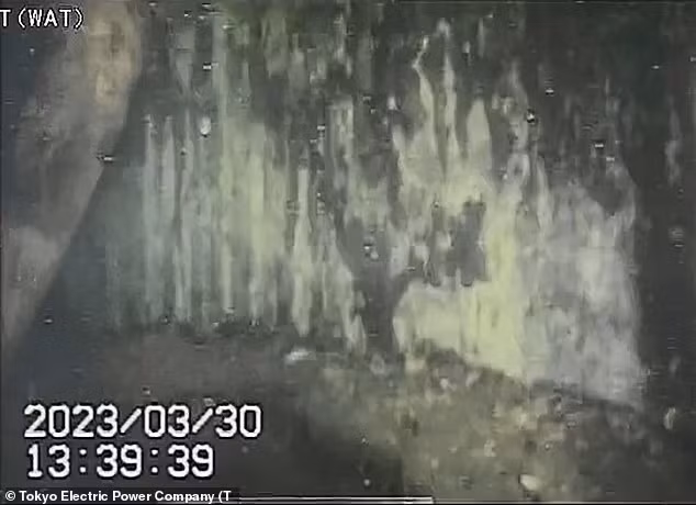 Theo TEPCO, từ những bức ảnh và video, các chuyên gia không thể xác định liệu những khối treo lơ lửng là nhiên liệu nóng chảy hay thiết bị bị nung chảy nếu không thu được dữ liệu khác như nồng độ phóng xạ. Các drone không trang bị máy đo liều bức xạ bởi chúng cần trọng lượng nhẹ và linh hoạt. Khoảng 880 tấn nhiên liệu hạt nhân nóng chảy độ phóng xạ cao vẫn ở bên trong 3 lò phản ứng thuộc nhà máy điện hạt nhân Fukushima Dai-ichi bị phá hủy.