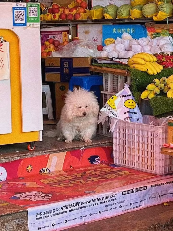 Đang yên đang lành tự nhiên dựng đầu người ta dậy bắt trông hàng. Ảnh: Tổng hợp