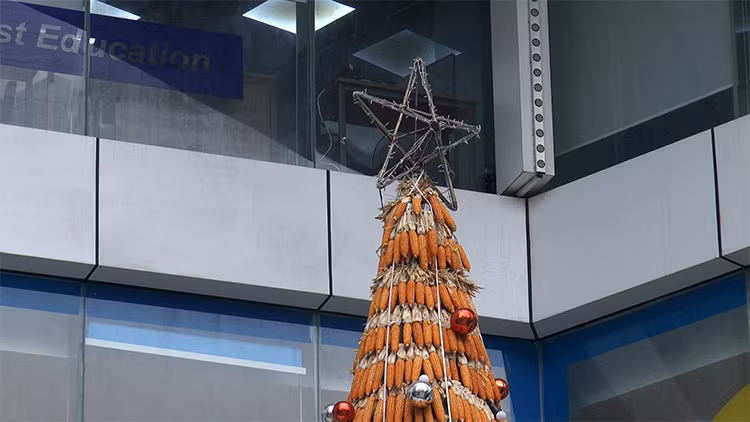 Mới đây cư dân mạng trầm trồ với hình ảnh cây thông Noel được làm từ 8000 bắp ngô, đặt tại khu chung cư số 27 Lê Văn Lương (Thanh Xuân, Hà Nội). Ảnh: Lê Phú/Báo Tin Tức