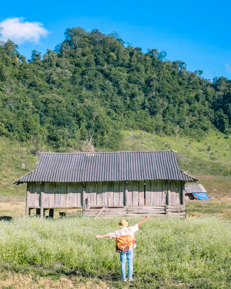 Hoa cải trắng không kiêu sa như hoa đào, chẳng rực rỡ như đóa dã quỳ khoe sắc trong nắng nhưng chúng lại khiến nhiều người mê mẩn bởi nét bình dị, mộc mạc. Ảnh: Bùi Ngọc Công