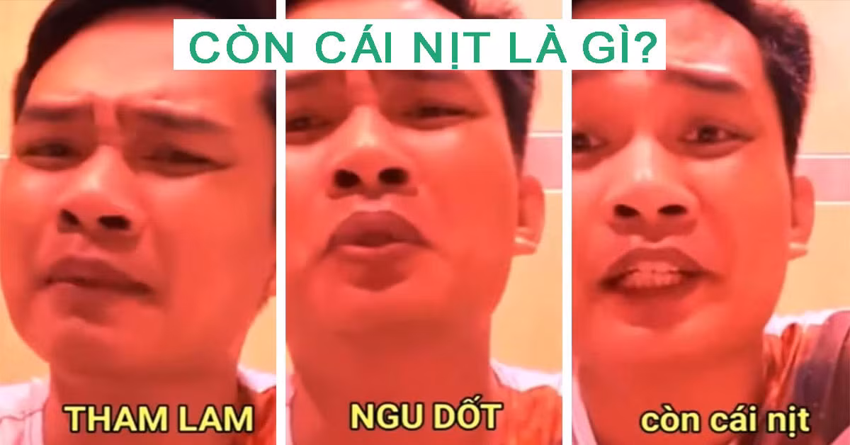 Cụm từ này bắt nguồn từ TikToker Tiến Bịp trong một video nói về chủ đề nhặt được tiền. Nhiều bạn đã nhanh chóng sử dụng và làm cụm từ này trở thành hot trend mạng xã hội.