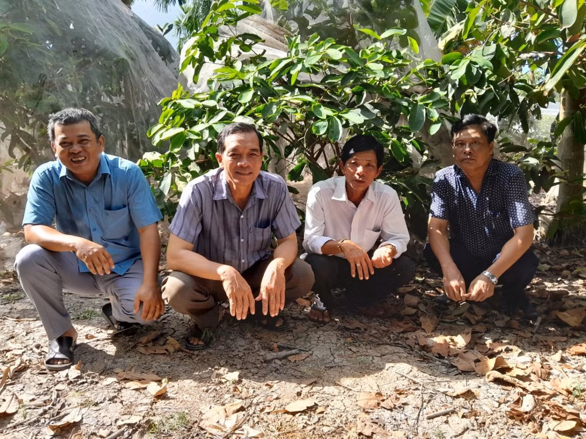 Trong giong man xanh duong, ong nong dan o Soc Trang ban 80.000/kg-Hinh-2