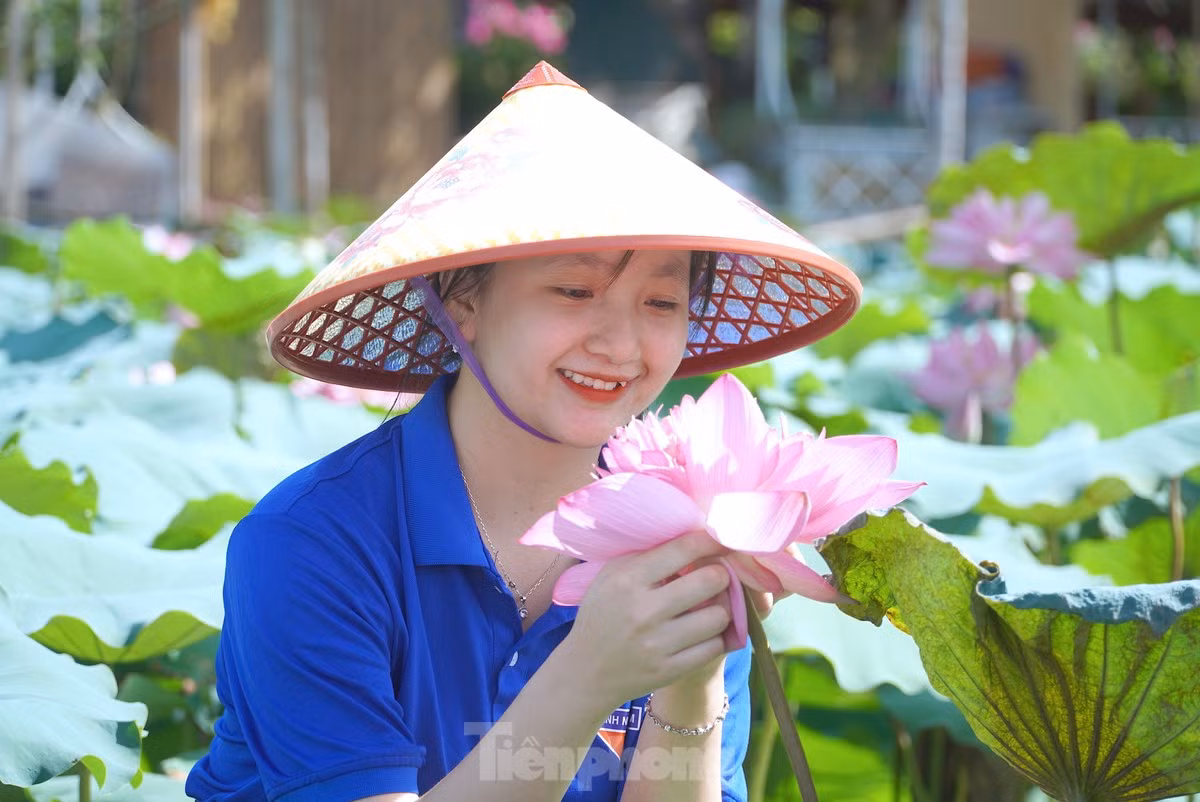 Mô hình sen thanh niên có 8 người tham gia, là những đoàn viên thanh niên trên địa bàn