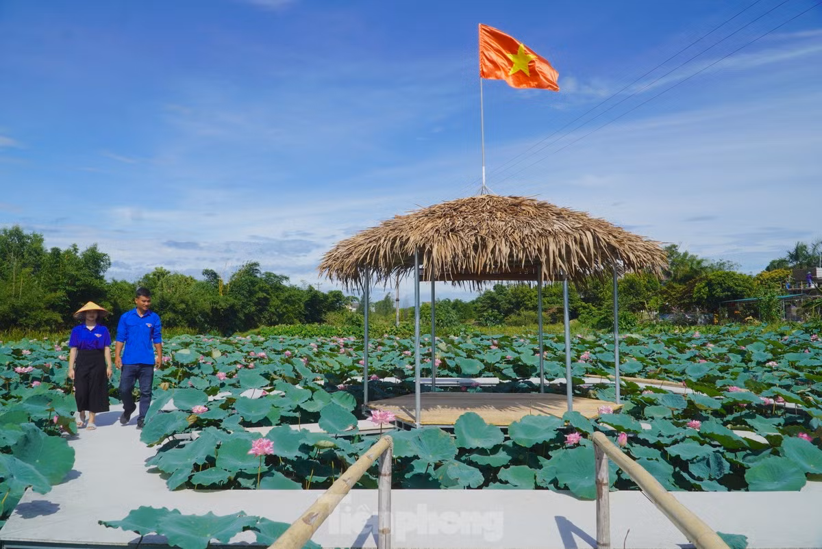 Tháng 8/2022, Đoàn phường Thạch Linh (thành phố Hà Tĩnh, tỉnh Hà Tĩnh) tổ chức thực hiện mô hình trồng sen chăn nuôi thuỷ sản cải tạo cảnh quan đô thị. Để triển khai mô hình này, các bạn thanh niên đã cải tạo hàng ngàn mét vuông đầm lầy tại thôn Tân Tiến, phường Thạch Linh trồng sen kết hợp mô hình nuôi thủy sản.