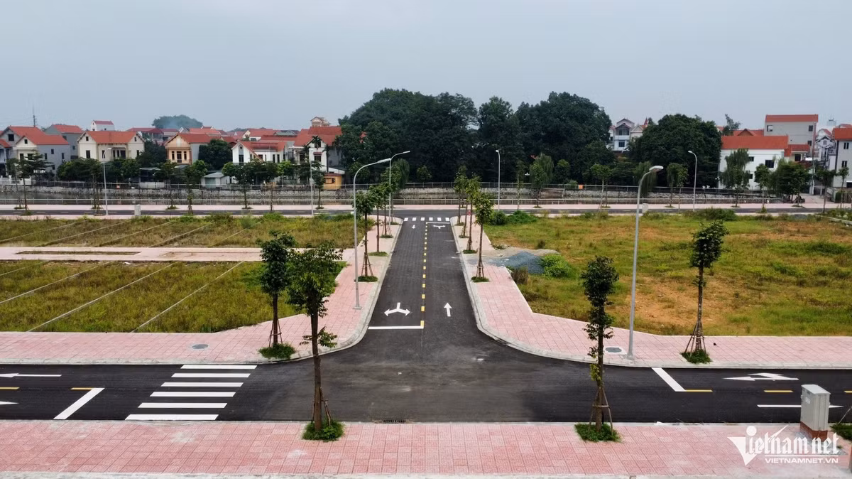 Hà Nội: Dậy sớm, chen chân đi đấu giá đất ở huyện Hoài Đức - Hình 6 Ha Noi: Day som, chen chan di dau gia dat o huyen Hoai Duc-Hinh-6