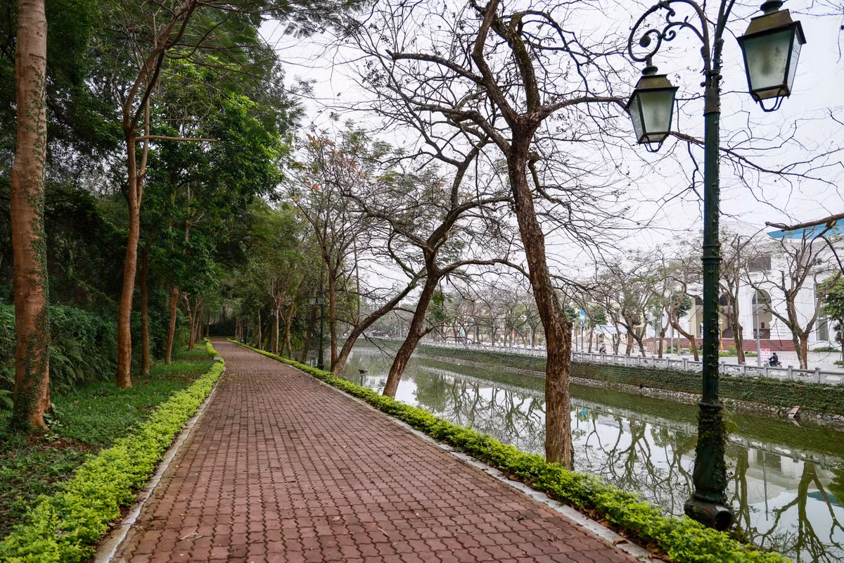 Tuyến phố đi bộ thí điểm có tổng chiều dài 820m, tổng diện tích sử dụng 34.550m2, kéo dài từ cổng cũ trụ sở UBND thị xã (phố Phó Đức Chính) đến cầu Cửa Tiền (ngã 3 Quang Trung - Nguyễn Thái Học).
