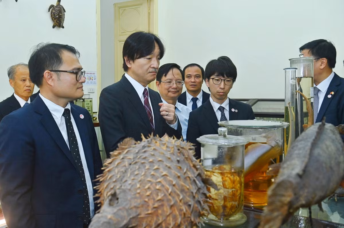 Hoàng Thái tử Nhật Bản thăm bảo tàng Sinh học, Trường ĐH Khoa học Tự nhiên - Hình 3 Hoang Thai tu Nhat Ban tham bao tang Sinh hoc, Truong DH Khoa hoc Tu nhien-Hinh-3