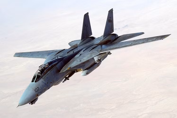 Vũ khí chính của Tomcat là 6 tên lửa AIM 54 Phoenix tầm bắn tới 190 km. Nó là tên lửa không đối không có tầm bắn xa nhất của Mỹ.