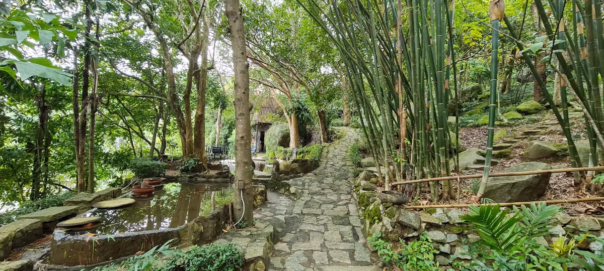 Con đường nhỏ bên những khóm lồ ô xanh mướt cùng dòng nước chảy róc rách tạo nên một khung cảnh bình yên lạ thường.