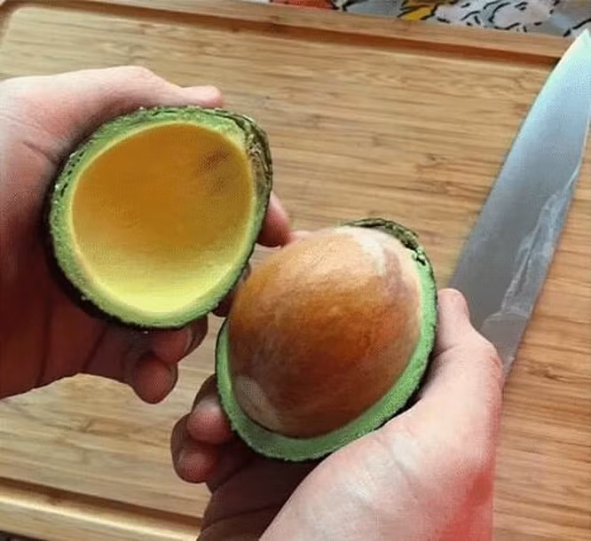 Chọn bơ thật "khéo".