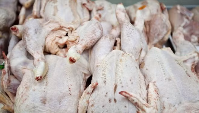 Gà Trung Quốc: Mặc dù đã được Bộ Nông nghiệp Mỹ cấp phép nhưng rất nhiều chuyên gia sức khỏe vẫn quan ngại về chất lượng của gà Trung Quốc vì bệnh tật do thực phẩm ngay tại Trung Quốc cũng đã rất nhiều, chưa kể đến nạn cúm gà cũng rất phổ biến. 