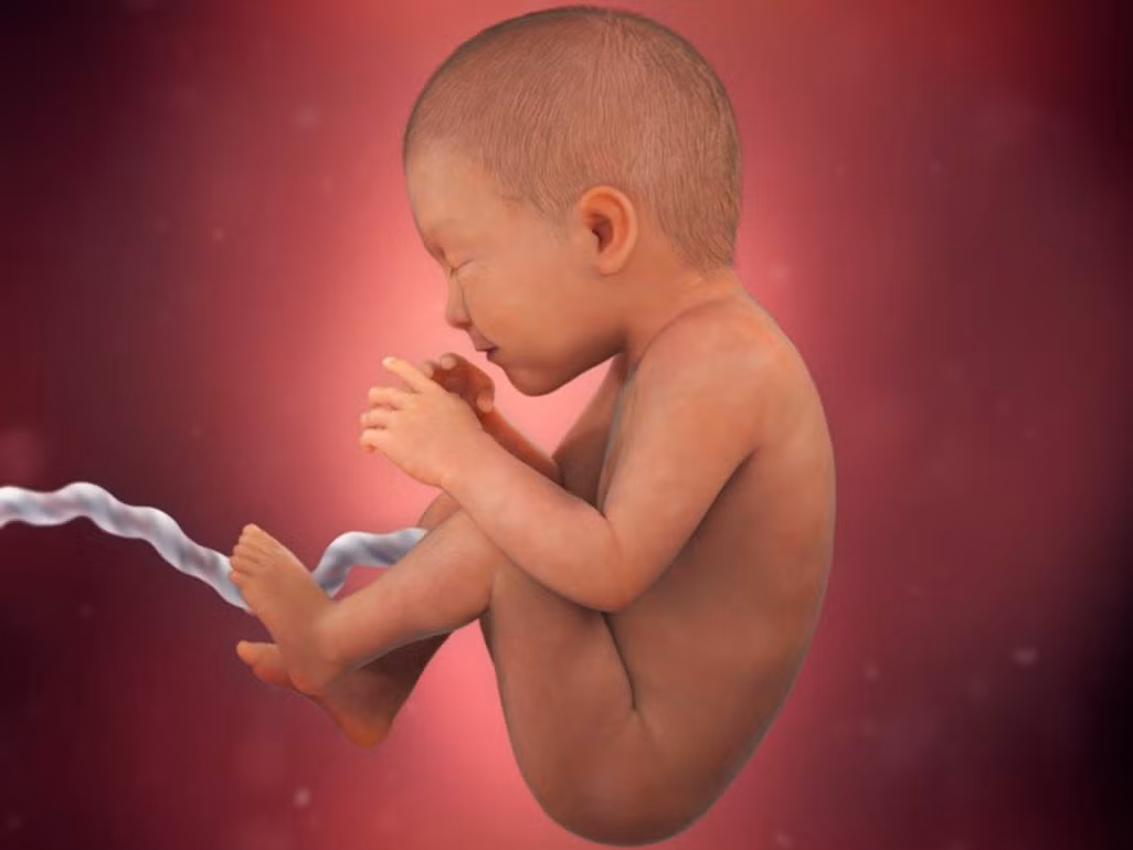 Càng tiệm cận thời kỳ mãn kinh, buồng trứng càng đáp ứng không hiệu quả với các loại hormone gây ra rụng trứng. Cho dù bạn thường xuyên tập thể dục, ăn uống đúng cách, duy trì cân nặng lý tưởng và tránh những thói quen không có lợi cho sức khỏe thì cũng không thay đổi được điều này. Nói như thế không có nghĩa là những thói quen xấu không ảnh hưởng gì đến khả năng sinh sản. Chẳng hạn như hút thuốc lá sẽ đẩy nhanh quá trình lão hóa tự nhiên của trứng. 
