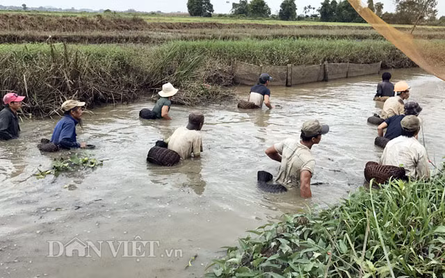 Cứ vào buổi sáng hay chiều rảnh rỗi, đàn ông, thanh niên Đức Thắng lại í ới gọi nhau cột giỏ, vợt đựng ngang lưng rồi xách nơm ra sông, ngòi, lạch... trong vùng để chụp bắt cá. 