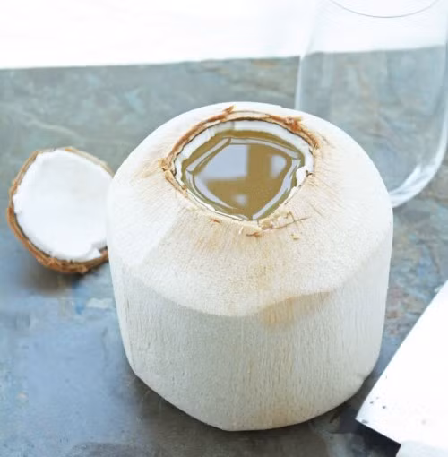 Quả dừa có thể giúp tăng sự trao đổi chất ở gan lên đến 30% và điều này rất có tác dụng đối với việc giảm cân. Dầu dừa là một dạng chất béo rất tốt cho não, có thể dùng thay bơ hoặc dầu canola. Dừa còn chứa nhiều kali, một khoáng chất cần thiết giúp làm giảm chứng trầm cảm ở phụ nữ. Dừa tốt cho những người nào trao đổi chất chậm. 