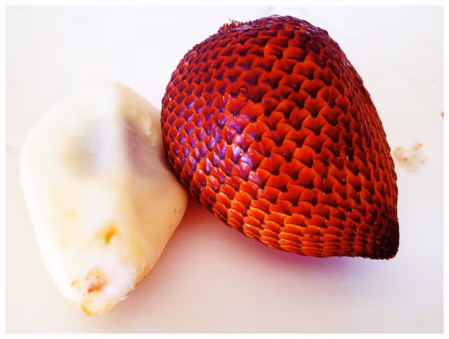 Salak là một cây thuộc họ nhà cọ với vỏ ngoài giống như da rắn nên còn được gọi là quả da rắn. Quả lạ có vị chua ngọt giống như dứa. 