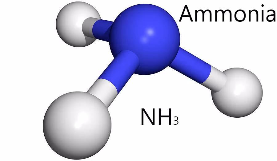 Amoniac là một trong những chất gây hại nhất có trong thuốc nhuộm thông thường. Không chỉ ảnh hưởng tới da và tóc, việc da tiếp xúc với amoniac sẽ gây dị ứng da. Thuốc nhuộm hóa chất chứa một lượng lớn amoniac và các hóa chất khác. Trong khi đó, thuốc nhuộm thực vật chỉ không hề chứa amoniac dù chỉ 0,1%. 