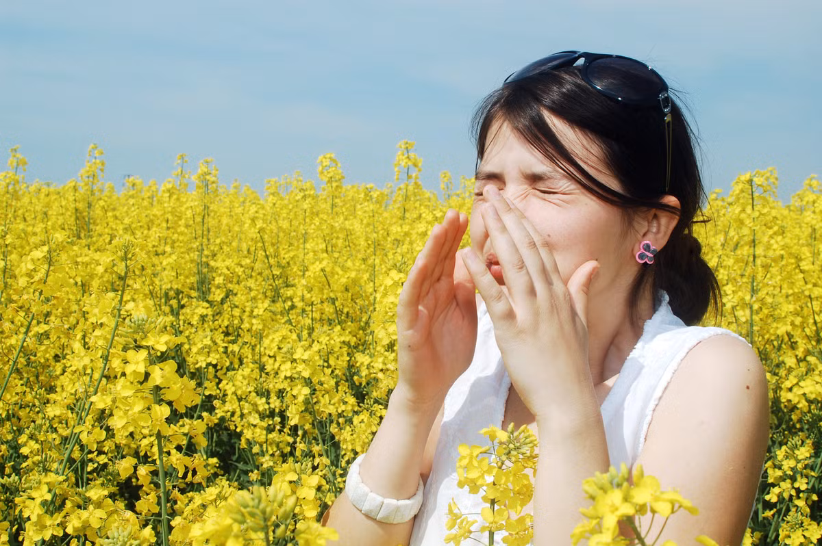 Dị ứng, hen suyễn: Mùa thu có thể là thời gian khó khăn đối với những người bị bệnh dị ứng với nấm mốc và phấn hoa. Vì vậy cần cẩn trong khi tiếp xúc với cây cỏ vì có thể khiến phấn hoa, nấm mốc, bụi và các phần tử nhỏ li ti khác bay vào trong không khí gây dị ứng và hen suyễn. Những người có nguy cơ mắc căn bệnh mùa thu này nên tránh xa những khu vực có vườn tược. (Ảnh: Amrita)