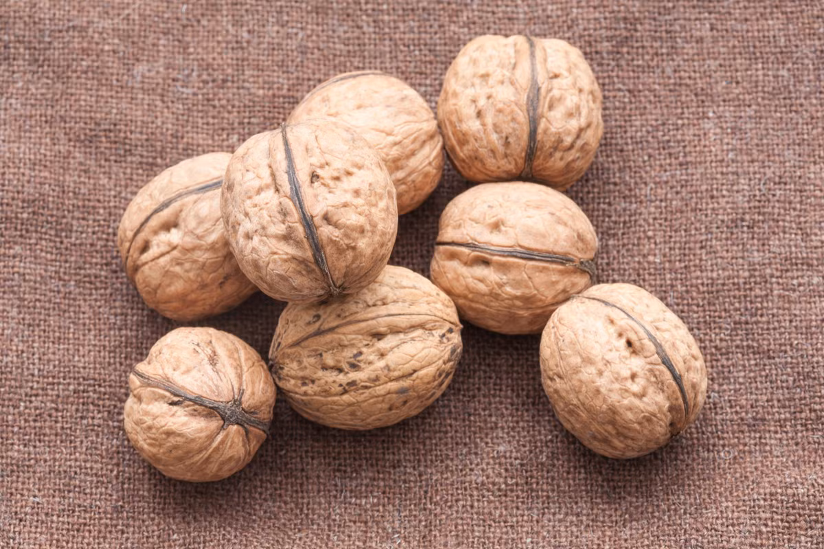Trong số các loại hạt, quả óc chó chứa nhiều omega-3 nhất để duy trì năng lượng và sự tỉnh táo.