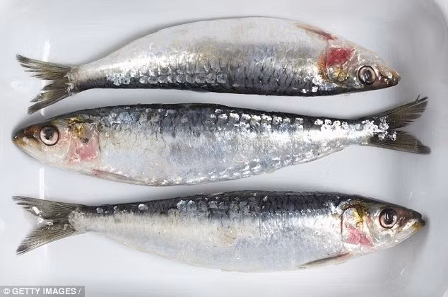 Cá mòi là loại cá nhiều dầu và chứa rất nhiều omega-3. Nhưng đó chưa phải là lợi ích duy nhất của loại hải sản này. Cá mòi còn rất giàu vitamin D tốt cho sức khỏe của xương và răng, 140g cá mòi cung cấp tới 71% nhu cầu canxi hàng ngày. Ngoài ra còn có các loại vitamin B, kali, phốt pho, selenium và iot.