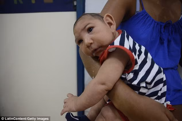 Thử nghiệm cho thấy duramycin liên kết với PE, lớp màng của virus Zika và ngăn không cho Zika liên kết với tế bào TIM1. Hơn nữa, sự ngăn chặn này còn có tác dụng kể cả khi dùng kháng sinh với liều lượng thấp. Điều này chứng minh rằng duramycin và kháng sinh tương tự có thể giảm hoặc ngăn chặn sự lây nhiễm Zika từ mẹ sang con để làm giảm các dị tật bẩm sinh do virus Zika.