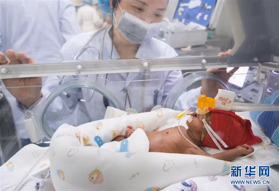 Một bác sĩ đang quan sát một bé sơ sinh vẫn đang nằm trong lồng kính trước khi chuyển viện. 