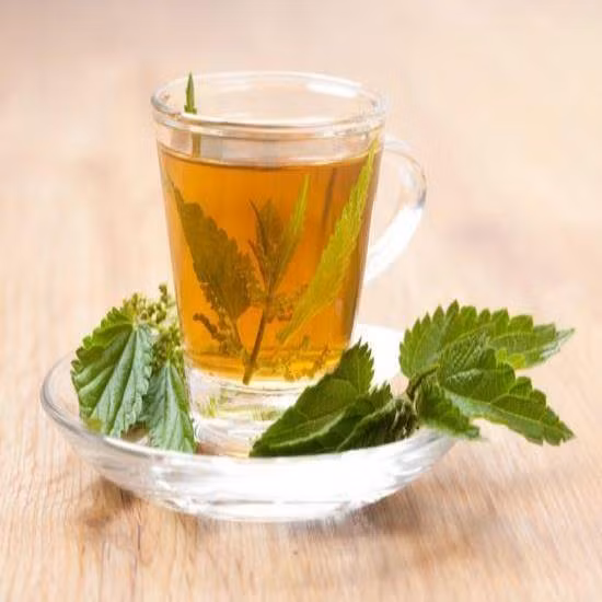 Trà lá tầm ma trị dị ứng: Gai lá tầm ma vừa khiến bạn bị ngứa nhưng uống trà tầm ma vào lại chữa lành luôn. Tính kháng viêm sưng tự nhiên của lá tầm ma đã được dùng từ hàng trăm năm để chữa nhiều bệnh như viêm khớp, dị ứng thời tiết…Trà tầm ma có mùi thơm như hoa nhưng hơi đắng, khi uống có thể cho thêm đường. 