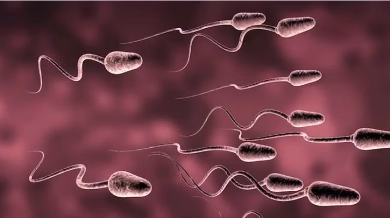 Mặc dù lây truyền chủ yếu khi bị muỗi đốt nhưng cho đến nay virus Zika đã được tìm thấy trong những tổ chức mà hệ miễn dịch ít công hiệu hơn như tinh trùng nam giới, dịch vùng kín của nữ giới, nước bọt và giờ sẽ có thể là nước mắt. 