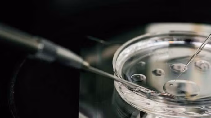 Phương pháp thụ tinh trong ống nghiệm (IVF) đòi hỏi phụ nữ phải tiêm hormone kích thích nang trứng để kích thích trứng phát triển trước khi được tách khỏi buồng trứng để thụ tinh. Tuy nhiên đây là phương pháp có giá thành cao và có những tác dụng phụ cũng như biến chứng nhất định 