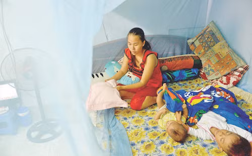 Phóng sự ảnh: Căng mình chống sốt xuất huyết - Hình 2 Phong su anh: Cang minh chong sot xuat huyet-Hinh-2