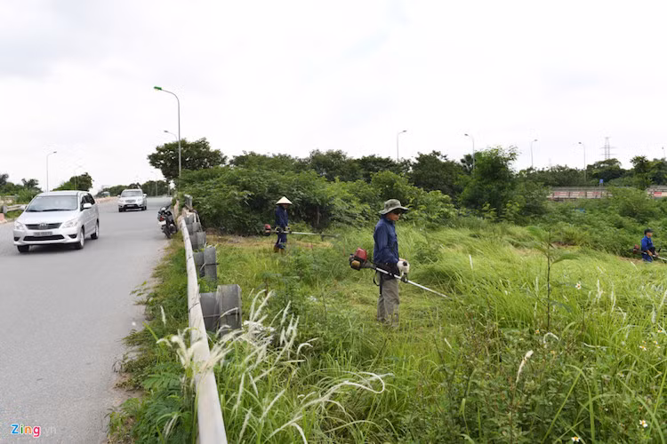 Anh: Cong nhan vat va dep rung co o dai lo Thang Long