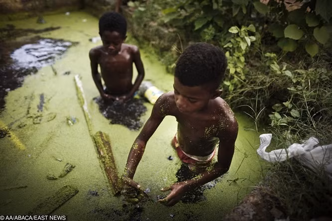 3. Trẻ em sống ở Pantanal Favela ở Brazil săn ếch trong vùng nước bị ô nhiễm để giúp đỡ gia đình.